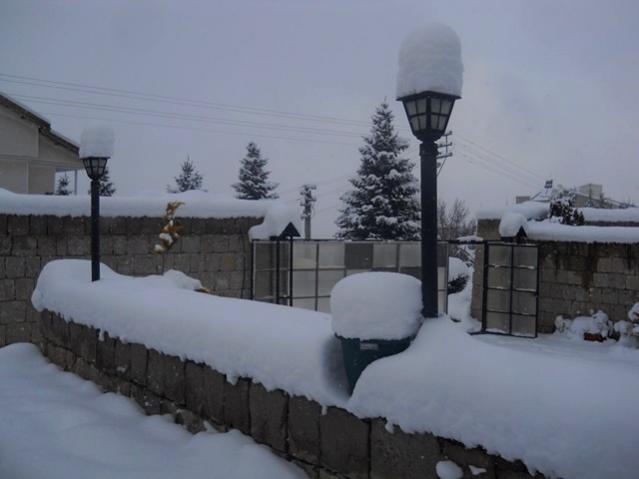 Name:  DSCN3915.jpg
Views: 970
Size:  27.9 KB