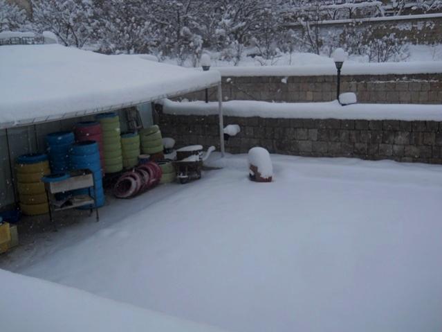 Name:  DSCN3907.jpg
Views: 904
Size:  31.2 KB