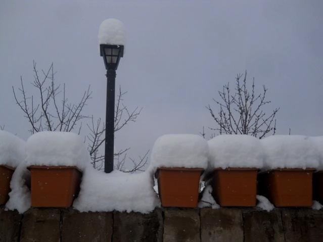 Name:  DSCN3894.jpg
Views: 903
Size:  24.3 KB