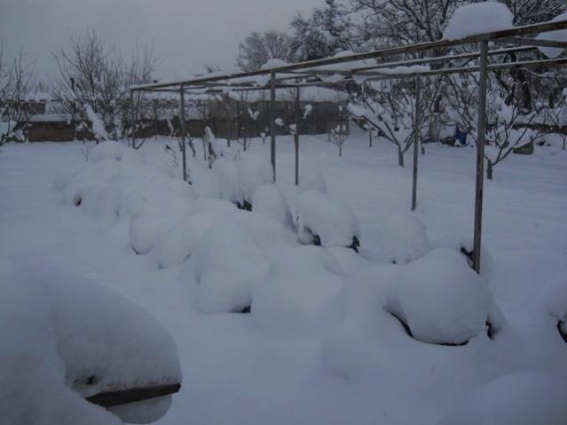 Name:  DSCN3898.jpg
Views: 916
Size:  29.1 KB