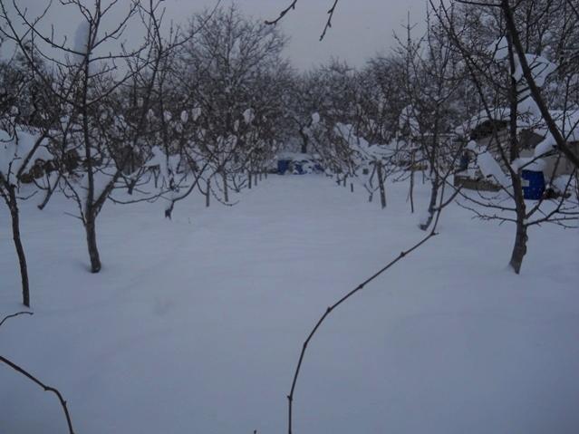 Name:  DSCN3910.jpg
Views: 1147
Size:  38.9 KB