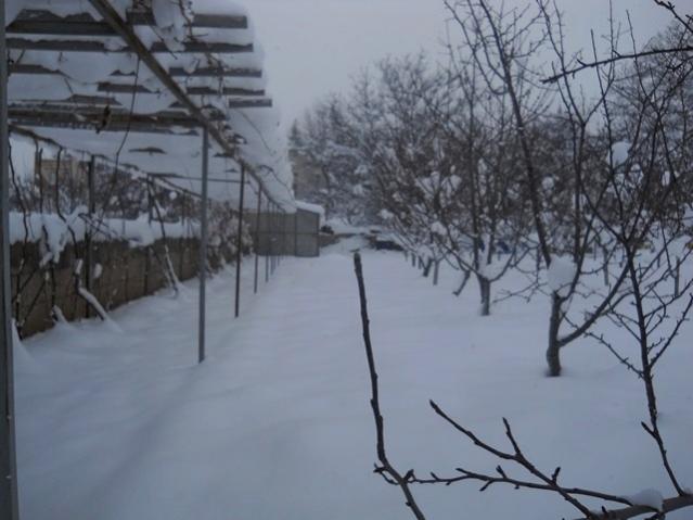 Name:  DSCN3912.jpg
Views: 1099
Size:  39.1 KB