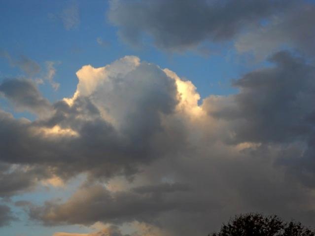 Name:  DSCN3168.jpg
Views: 1064
Size:  18.3 KB