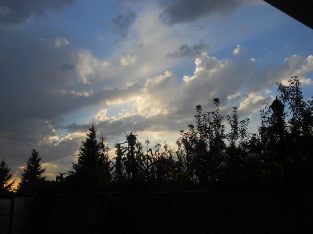 Name:  DSCN3160.jpg
Views: 1048
Size:  29.2 KB
