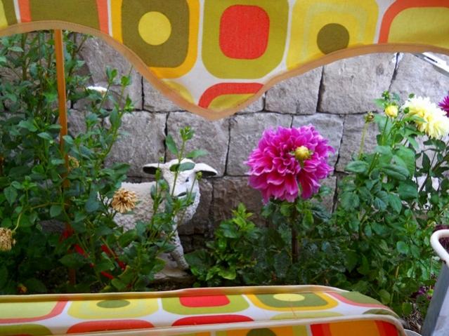 Name:  DSCN3161.jpg
Views: 989
Size:  59.0 KB