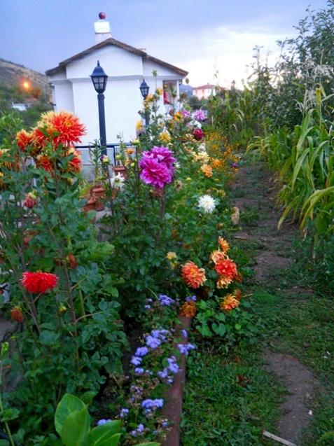 Name:  DSCN3223.jpg
Views: 1080
Size:  64.1 KB