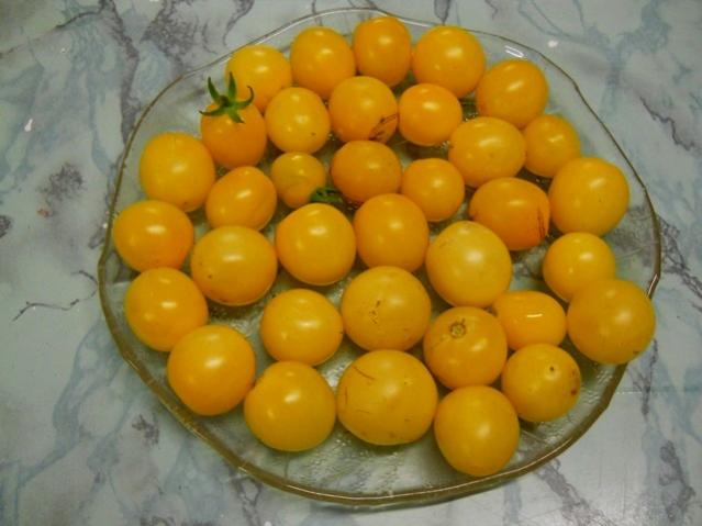 Name:  DSCN3310.jpg
Views: 964
Size:  36.1 KB