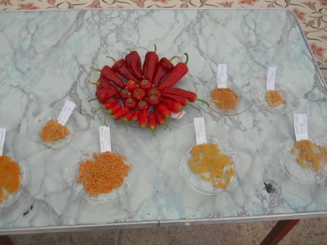Name:  DSCN3389.jpg
Views: 950
Size:  39.9 KB