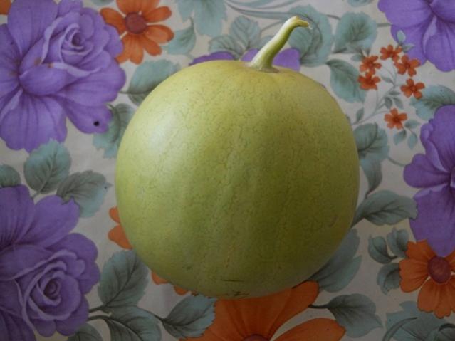 Name:  DSCN3414.jpg
Views: 936
Size:  32.8 KB
