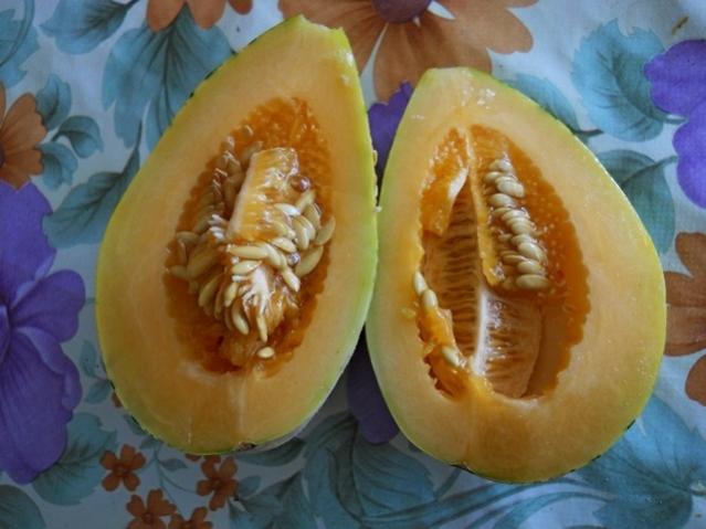 Name:  DSCN3412 Honeydew Orange Flesh.jpg
Views: 942
Size:  39.1 KB
