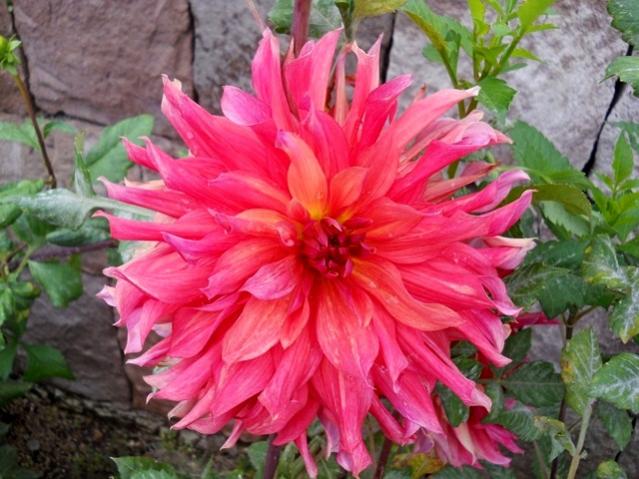 Name:  DSCN3466.jpg
Views: 870
Size:  55.5 KB
