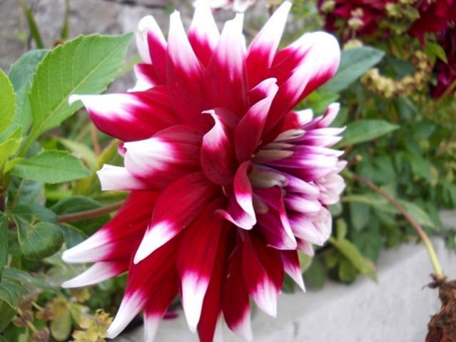 Name:  DSCN3458.jpg
Views: 838
Size:  42.8 KB