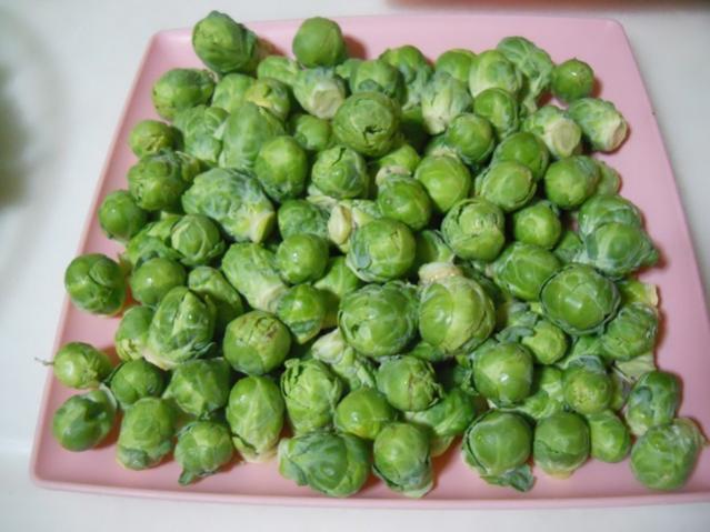 Name:  DSCN3628.jpg
Views: 984
Size:  45.0 KB