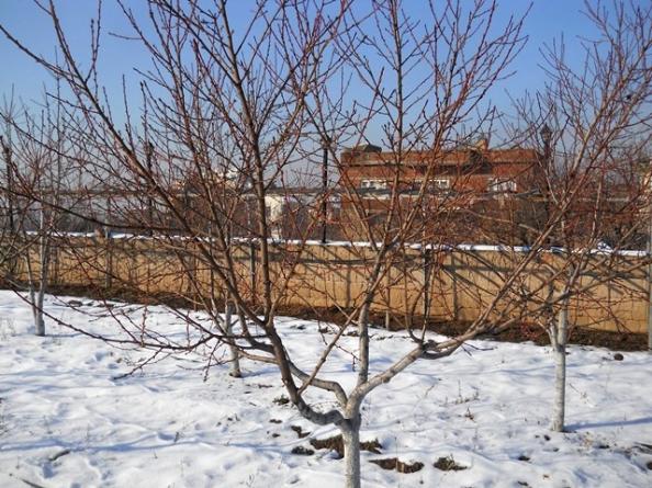 Name:  DSCN3841.jpg
Views: 610
Size:  73.9 KB
