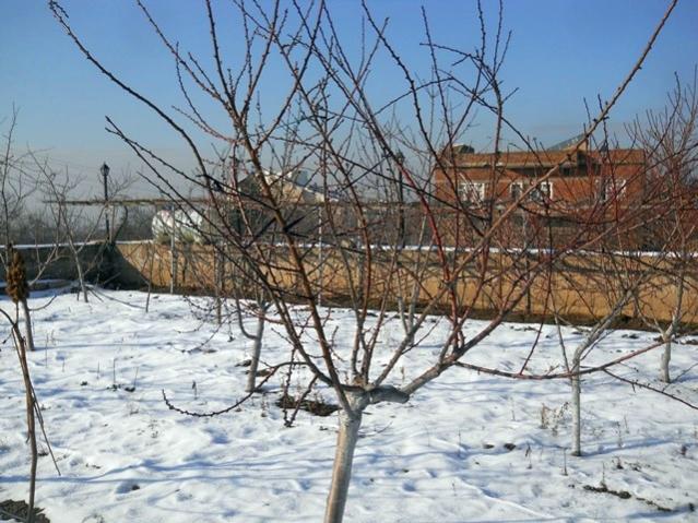 Name:  DSCN3842.jpg
Views: 613
Size:  68.2 KB