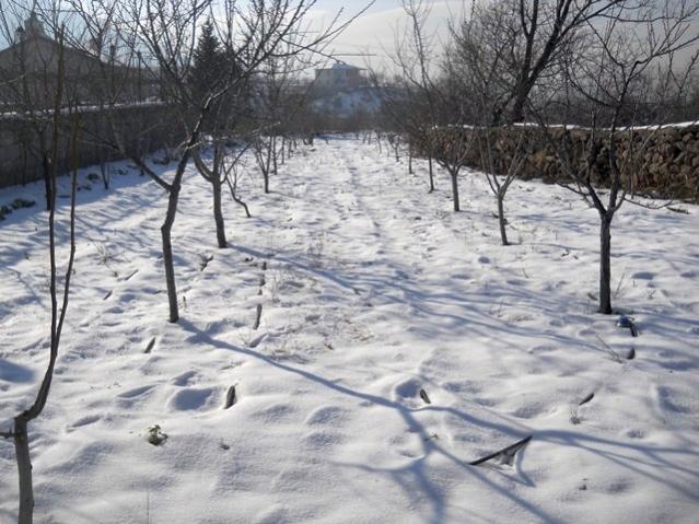 Name:  DSCN3848.jpg
Views: 614
Size:  63.0 KB