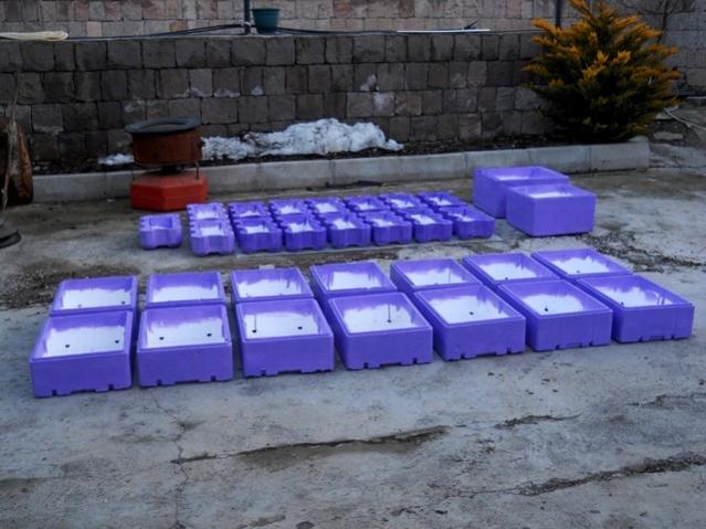 Name:  DSCN4012.jpg
Views: 1418
Size:  49.6 KB
