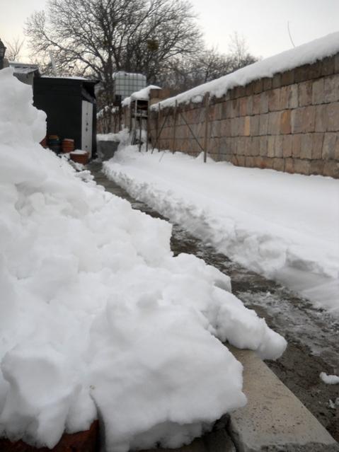Name:  DSCN4017.jpg
Views: 1320
Size:  37.3 KB