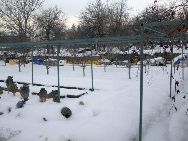 Name:  DSCN4018.jpg
Views: 1348
Size:  51.4 KB