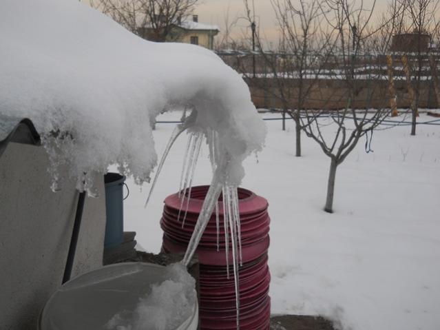 Name:  DSCN4019.jpg
Views: 1344
Size:  33.8 KB