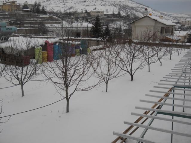 Name:  DSCN4042.jpg
Views: 1396
Size:  47.4 KB