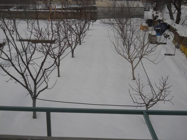 Name:  DSCN4021.jpg
Views: 1333
Size:  43.8 KB