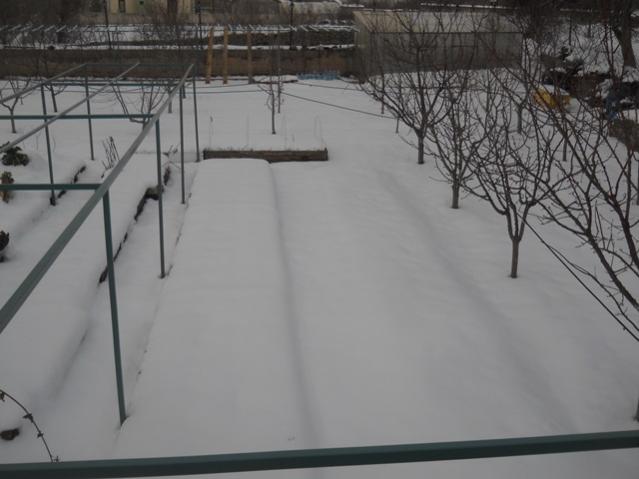 Name:  DSCN4022.jpg
Views: 1345
Size:  34.9 KB