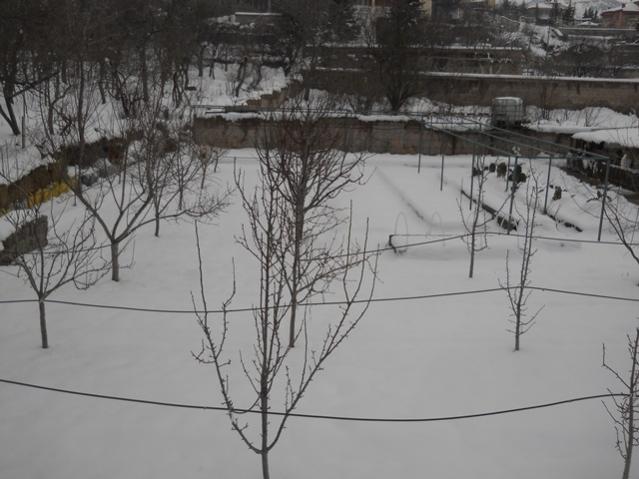 Name:  DSCN4041.jpg
Views: 1376
Size:  43.9 KB