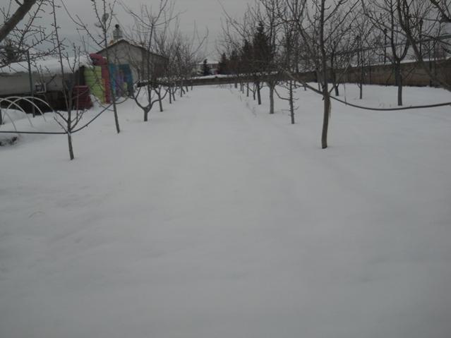 Name:  DSCN4028.jpg
Views: 1223
Size:  26.5 KB