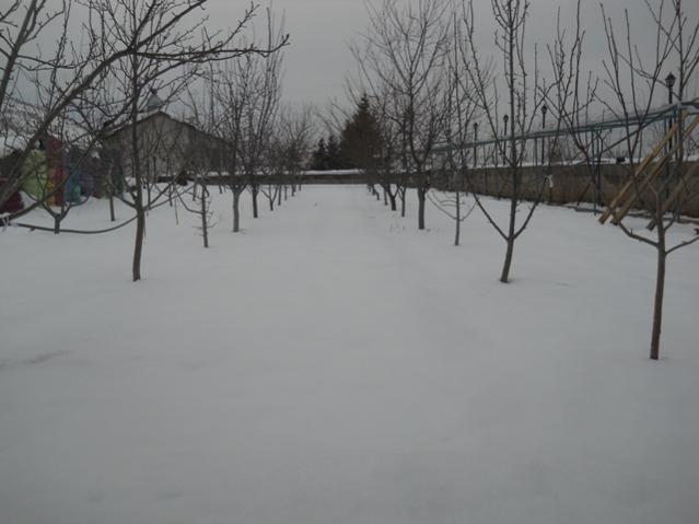 Name:  DSCN4029.jpg
Views: 1263
Size:  32.5 KB