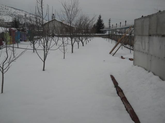 Name:  DSCN4032.jpg
Views: 1272
Size:  27.4 KB