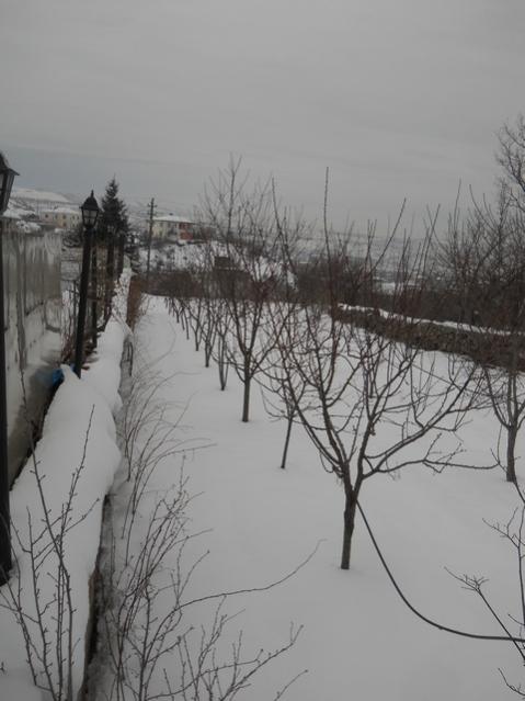 Name:  DSCN4033.jpg
Views: 1235
Size:  38.4 KB