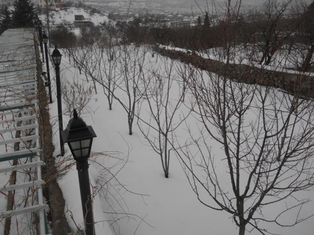 Name:  DSCN4043.jpg
Views: 1259
Size:  60.4 KB