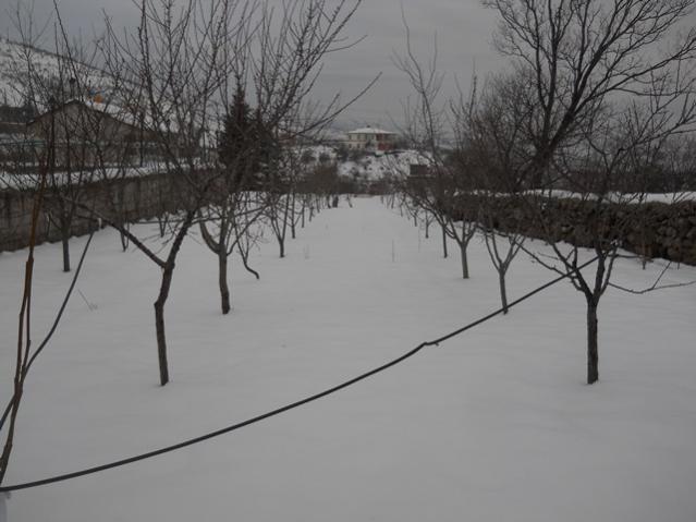 Name:  DSCN4047.jpg
Views: 1277
Size:  38.3 KB