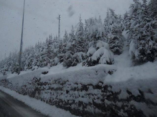 Name:  DSCN4116.jpg
Views: 957
Size:  38.5 KB