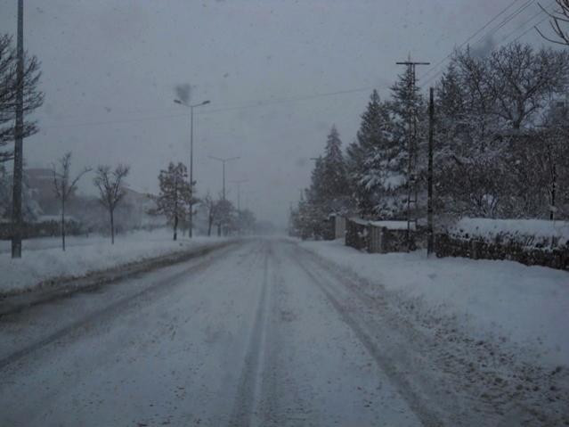 Name:  DSCN4118.jpg
Views: 922
Size:  31.4 KB