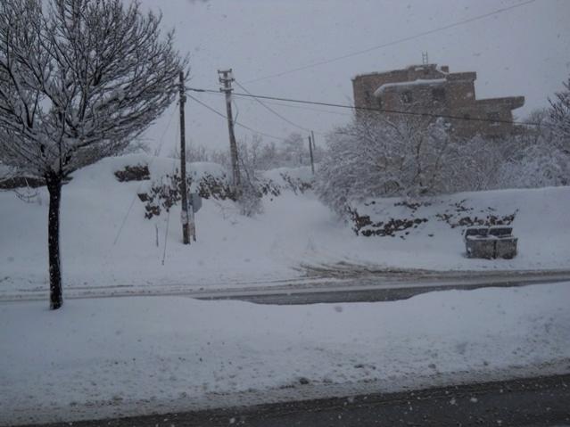 Name:  DSCN4120.jpg
Views: 957
Size:  38.5 KB