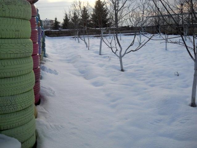 Name:  DSCN4219.jpg
Views: 910
Size:  43.5 KB