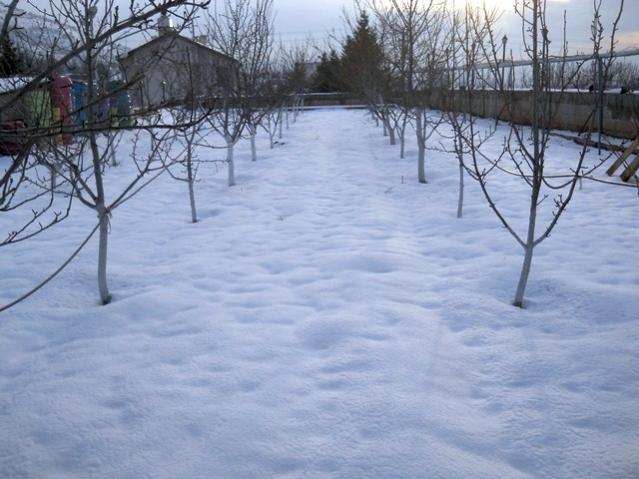 Name:  DSCN4240.jpg
Views: 918
Size:  49.5 KB