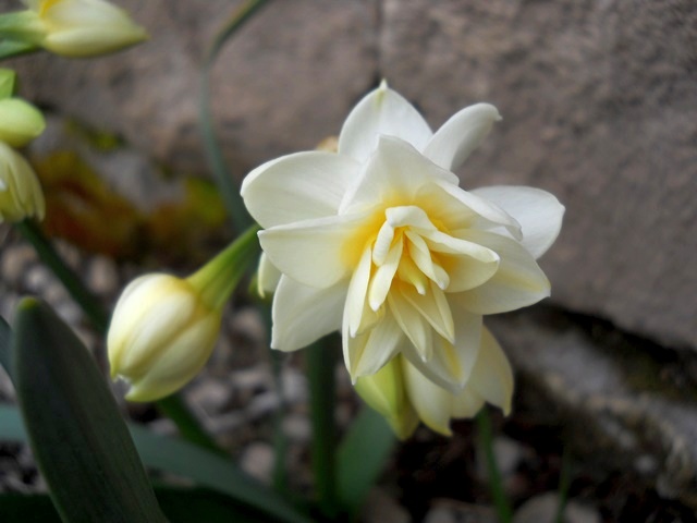 Name:  DSCN4580.JPG
Views: 785
Size:  65.3 KB
