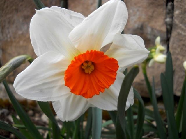 Name:  DSCN4583.jpg
Views: 776
Size:  31.5 KB