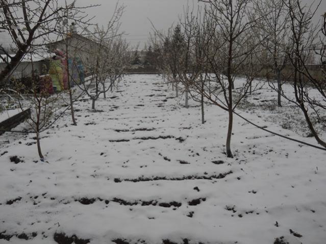 Name:  DSCN4601.jpg
Views: 977
Size:  53.8 KB