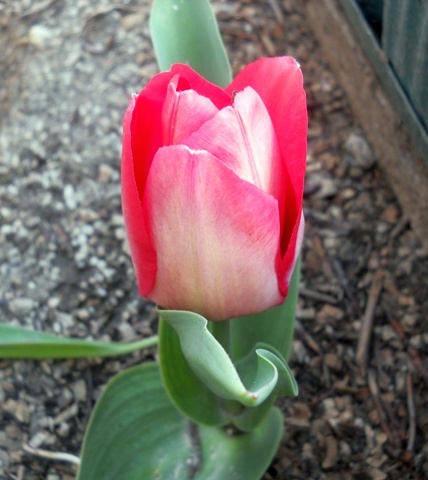 Name:  DSCN4712.JPG
Views: 716
Size:  68.0 KB
