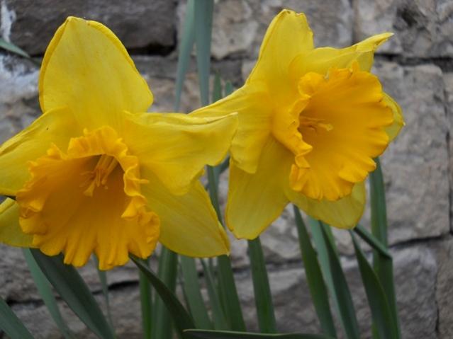 Name:  DSCN4845.jpg
Views: 619
Size:  32.5 KB