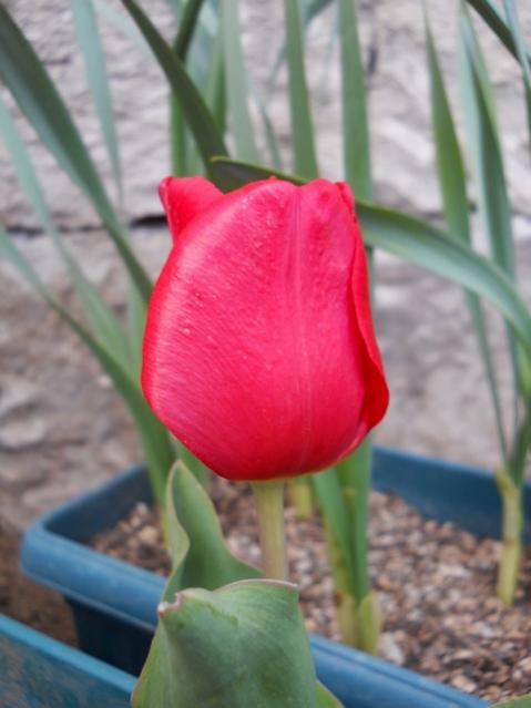 Name:  DSCN4843.jpg
Views: 614
Size:  33.6 KB