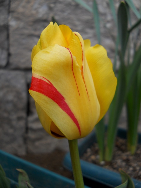 Name:  DSCN4844.JPG
Views: 655
Size:  69.7 KB