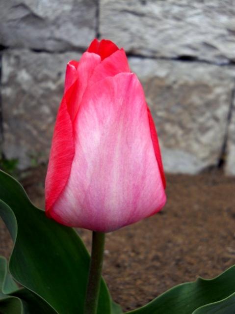 Name:  DSCN4839.jpg
Views: 636
Size:  30.7 KB