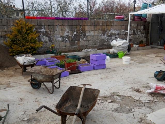 Name:  DSCN4847.jpg
Views: 866
Size:  61.6 KB