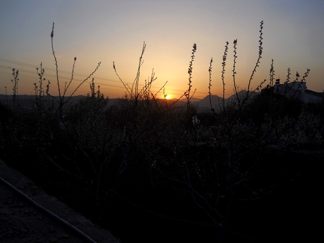 Name:  DSCN4862.JPG
Views: 724
Size:  63.8 KB