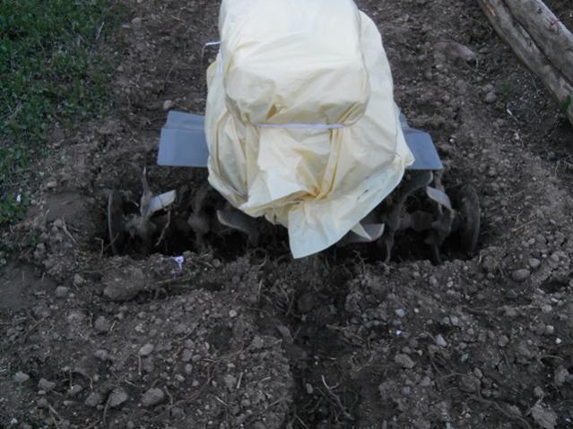 Name:  DSCN4950.jpg
Views: 549
Size:  53.9 KB